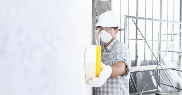 Best Commercial Mold Inspection  in Offutt Af, NE